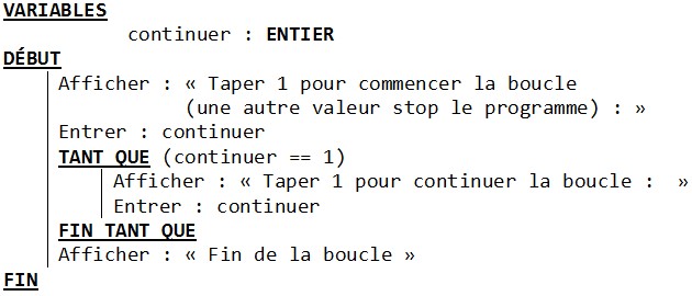 pseudo code boucle tant que while